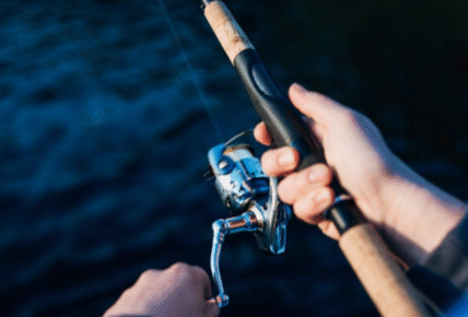Graphite rods