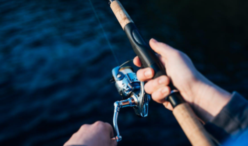 Graphite rods