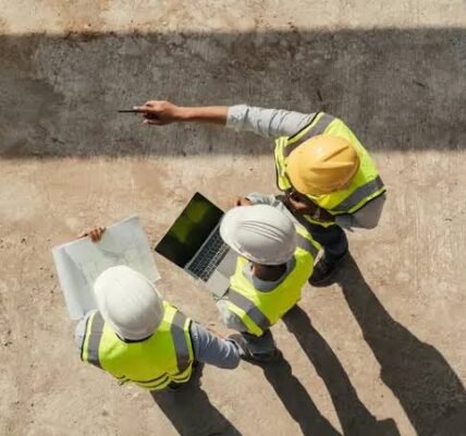 construction contracting expert witness